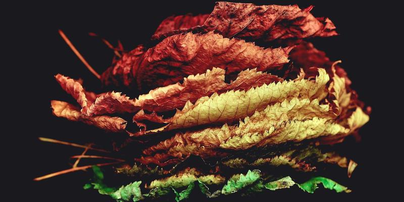 从克拉玛依法院案例看数字化时代下的法律服务新路径:案件查询与法律咨询实践分析