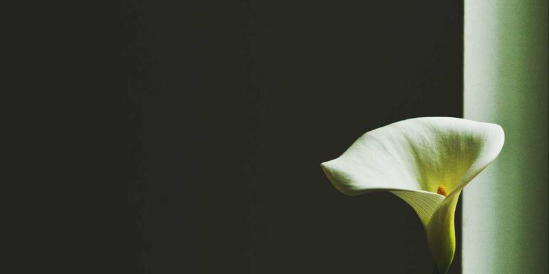 从合同纠纷审判看司法保障：克拉玛依法院优化营商环境典型案例与实用诉讼指南