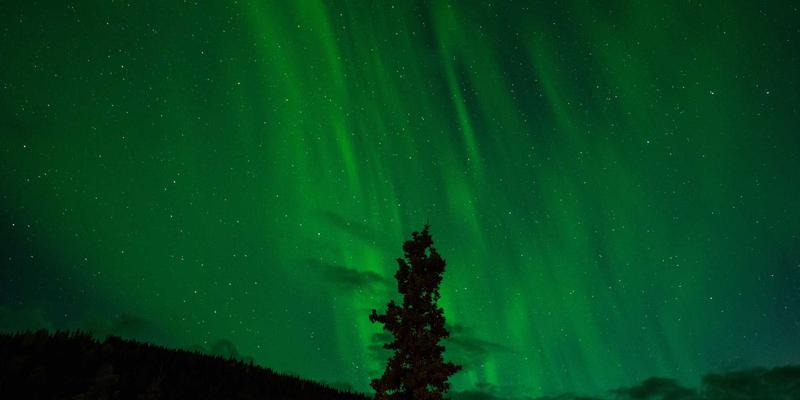 克拉玛依智慧法院建设实践：电子诉讼平台如何通过诉讼指南、法院公告与法律咨询提升审判效率与便民服务