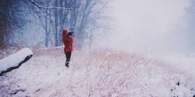 克拉玛依法院双语审判实践：如何通过案件查询与法律服务保障多民族诉讼权利