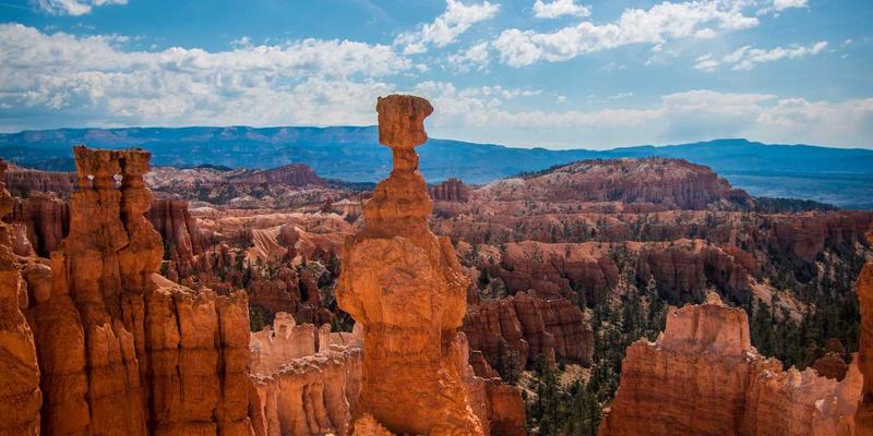 克拉玛依法院审判委员会制度改革：职能定位与运行机制优化如何提升案件查询与法律咨询效率