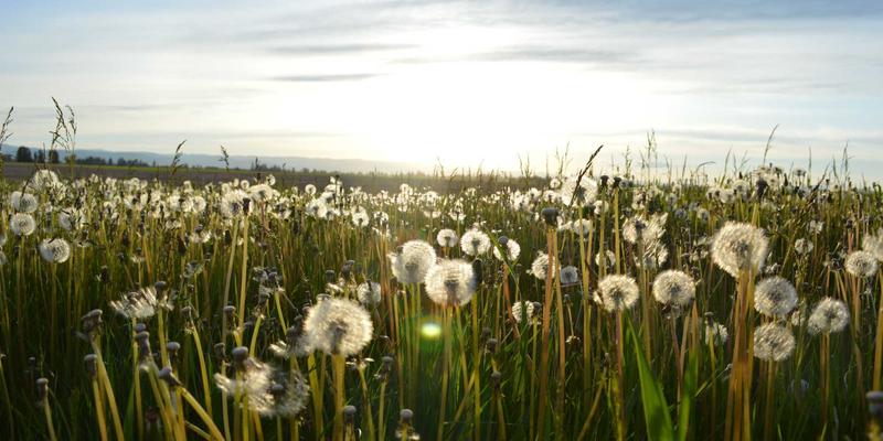 克拉玛依法院审判管理创新：以质效评估体系提升司法公信力路径 | 法律咨询与诉讼指南