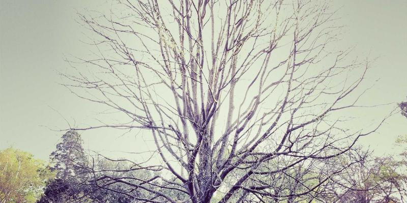 克拉玛依法院：打造多元化纠纷解决新格局，一站式法律服务与案件查询指南