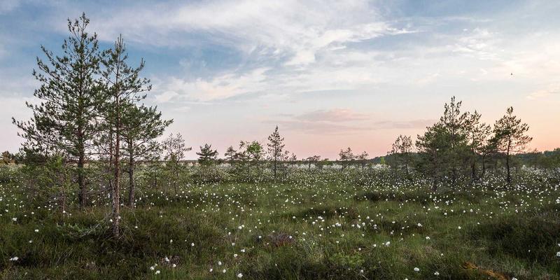 克拉玛依法院案件查询与法律服务全攻略：高效解决您的法律需求