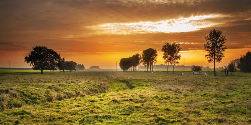 克拉玛依法院涉石油企业经济纠纷处理机制解析：专业法律咨询与法院公告指引