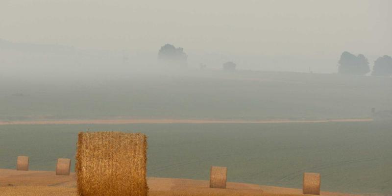 克拉玛依法院诉讼指南：一站式了解本地司法服务与流程