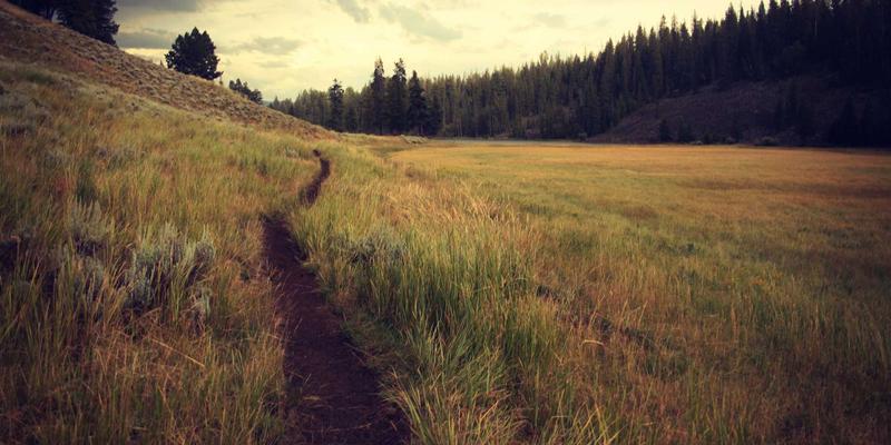 司法公开视角下：克拉玛依法院如何精准把握宽严相济刑事政策